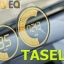 Новинка! Прозрачные электролюминесцентные дисплеи TASEL