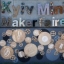 Приглашаем Вас на Kyiv Maker Faire!